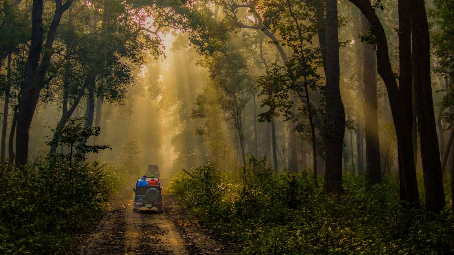 tiger safari
